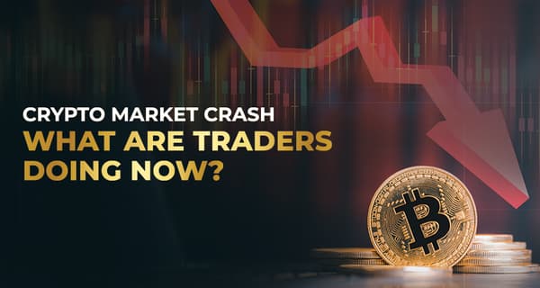 Cryptocurrency Market Crash: Why Investors Are Going To Bets
