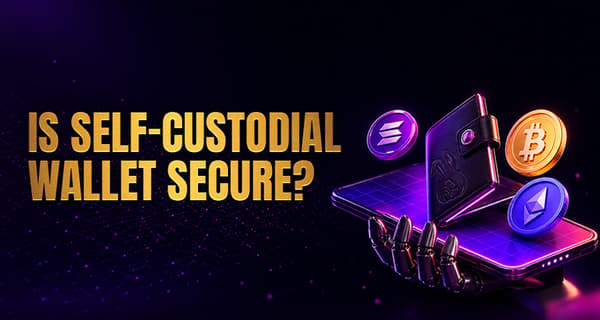 Self-Custodial Wallet: Full Control or Risky Move?