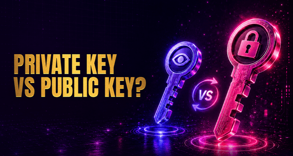 Public Key Cryptography Explained (Simple Guide)