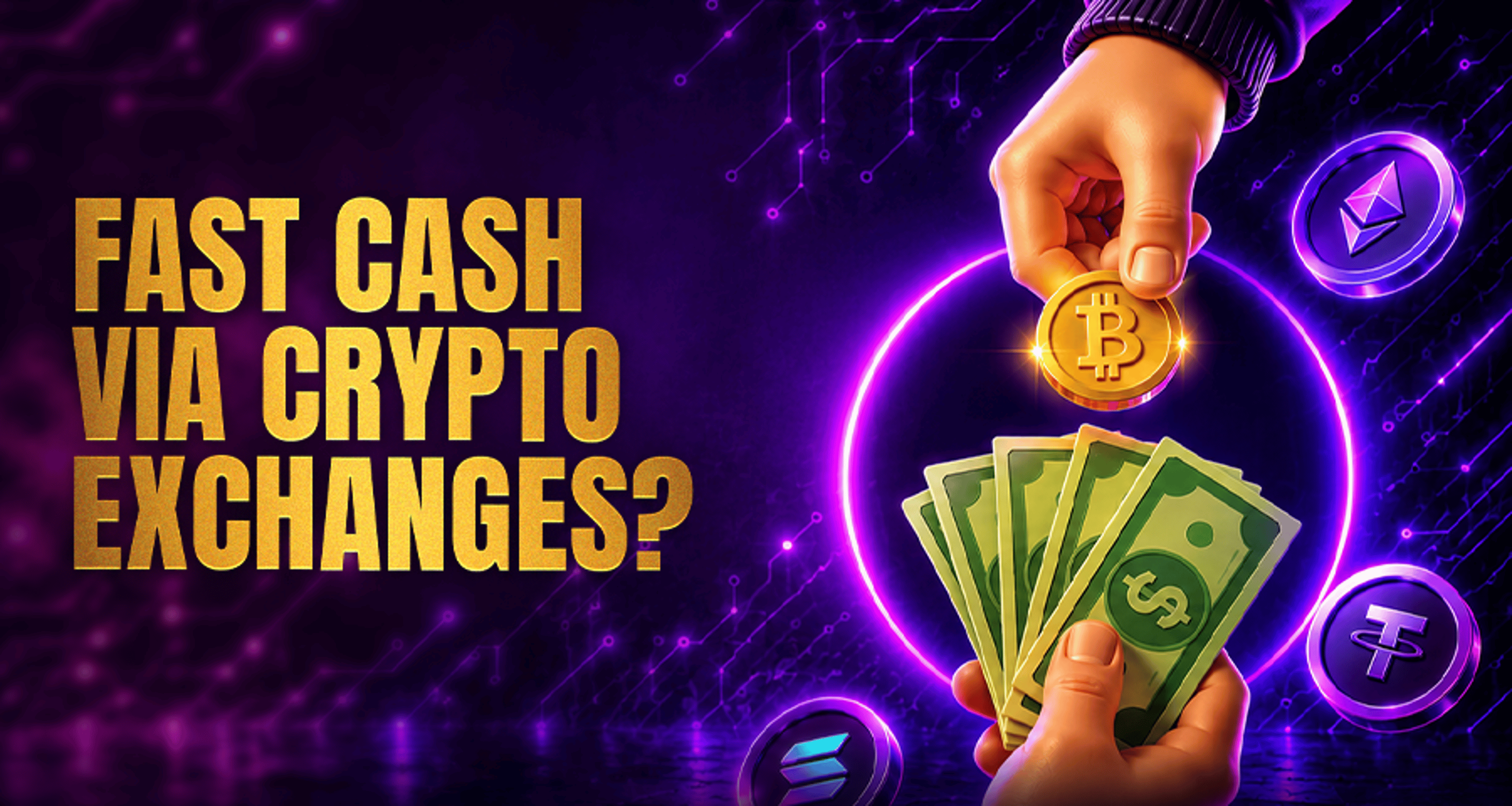 Best Crypto Exchanges for Beginners & Advanced Traders