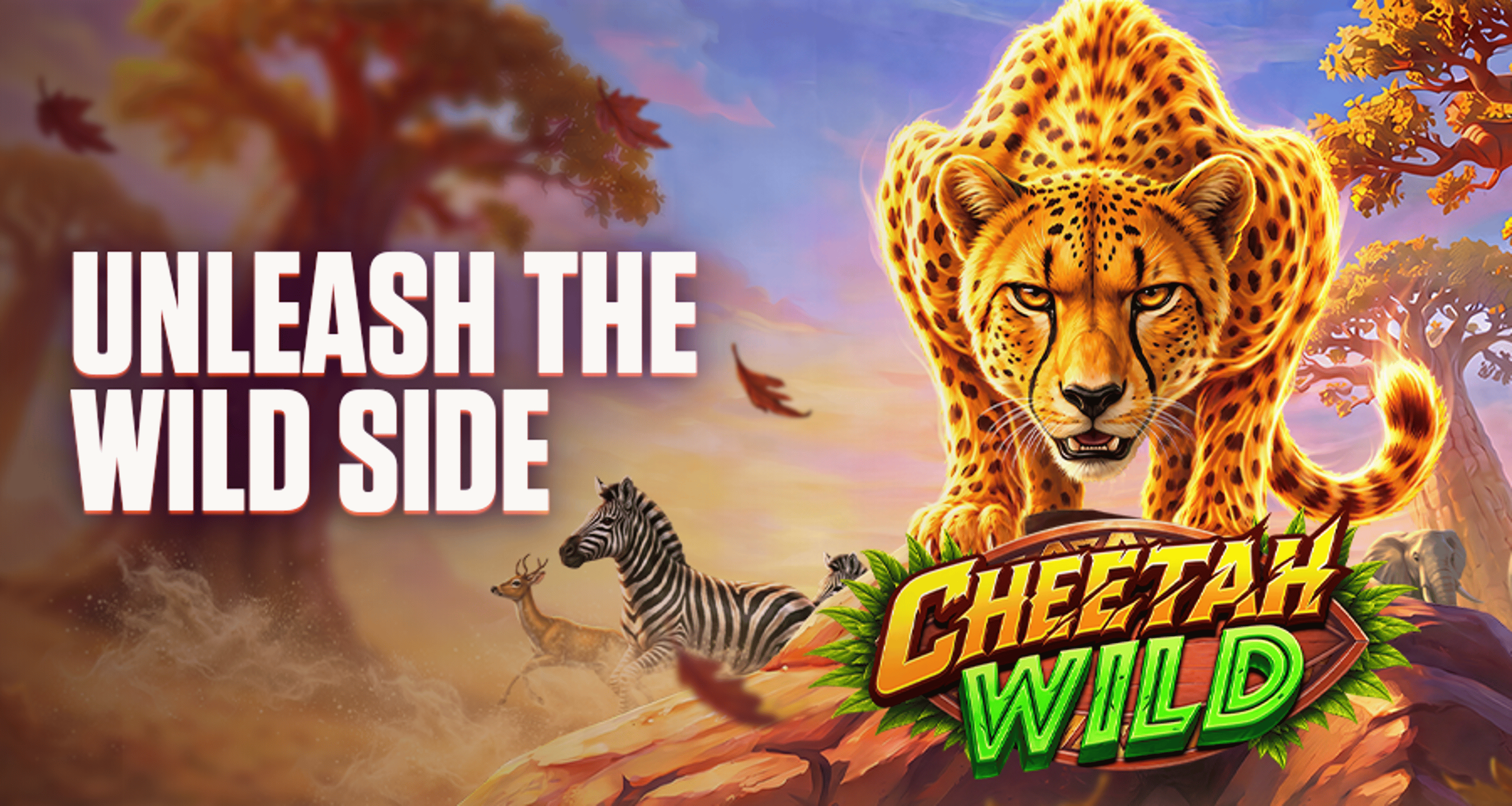 Cheetah Wild Slot Review: Exploring Its Wild Symbols and Bonus Features