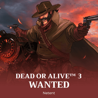 Dead or Alive™ 3: Wanted