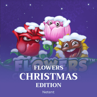Flowers Christmas Edition