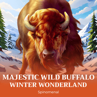 Majestic Wild Buffalo - Winter Wonderland