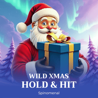 Wild Xmas - Hold & Hit